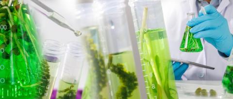 Benchmarking Launch Strategies for First-in-Class Biotech Products