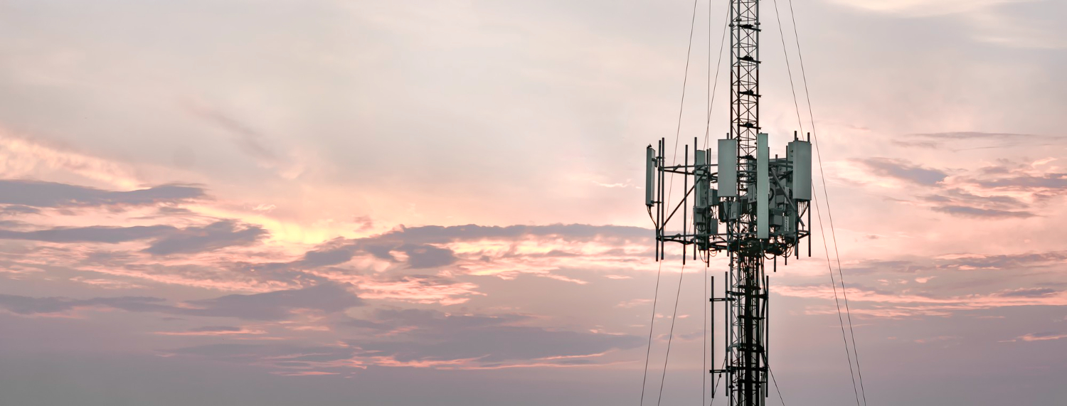 ♻️ Green is the New Competitive Edge: Unmasking False ESG Claims in the Telecom Infrastructure Race 